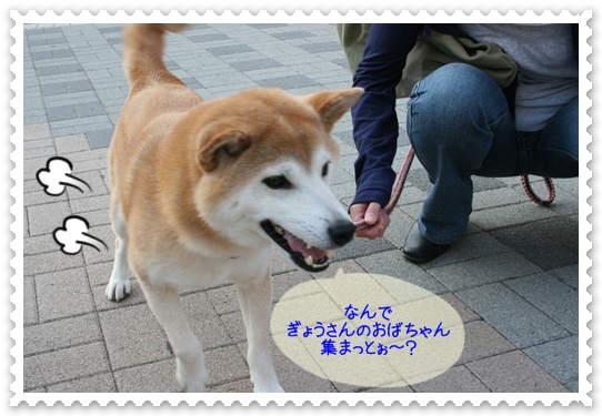 須磨へ_c0049950_14235053.jpg