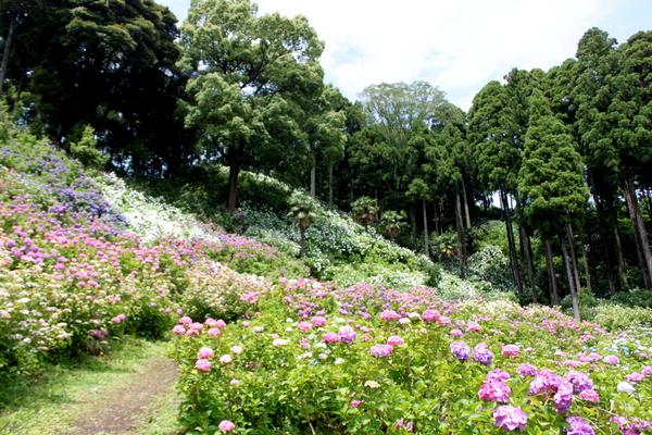 e0028650_2111827.jpg