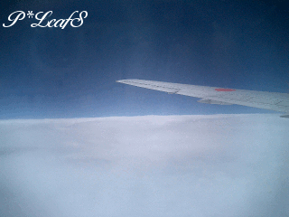 c0176651_19573023.gif