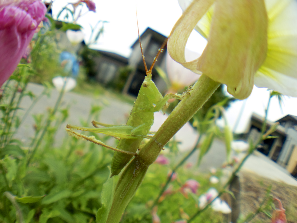 f0049152_20471392.jpg