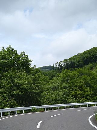 a0096557_2073767.jpg