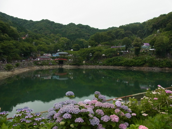 b0194267_20141033.jpg