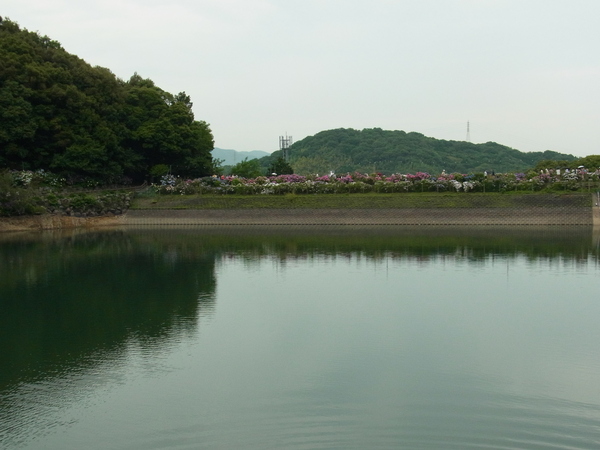 b0194267_20451390.jpg