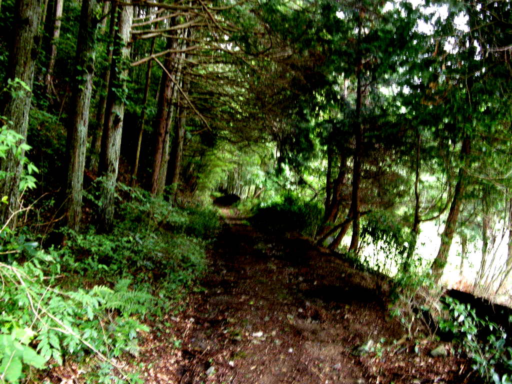 b0185573_84443.jpg