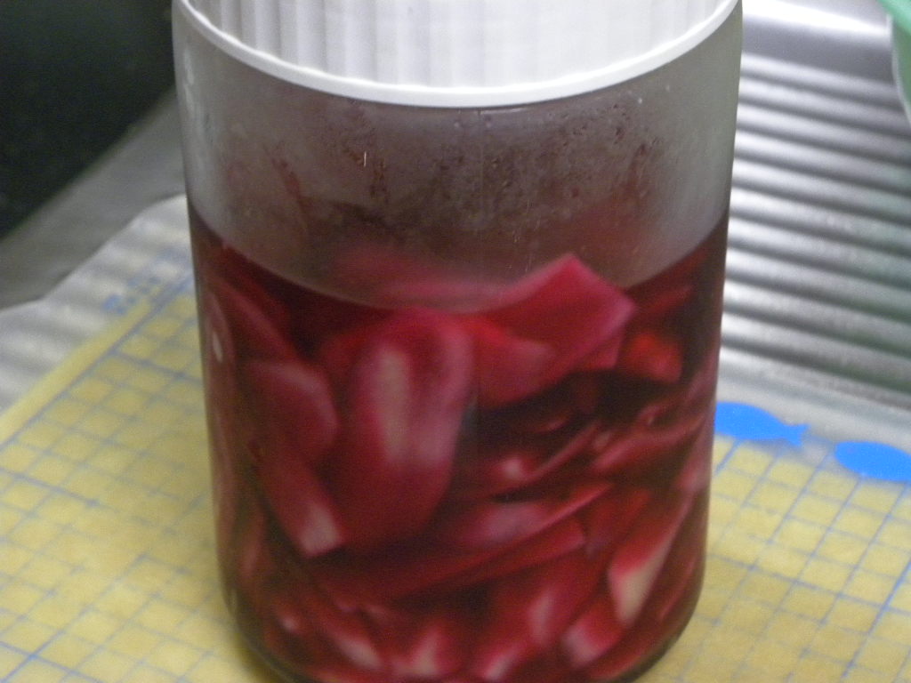 赤梅酢漬け_c0162773_14292632.jpg
