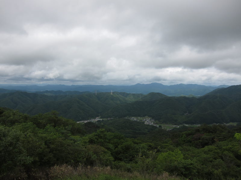 アジサイはやっと染まり始め。だが若々しいツートンカラーが見事ー川西・頼光寺、猪名川・大野山_e0138081_735785.jpg