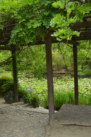 a0275782_16465415.gif
