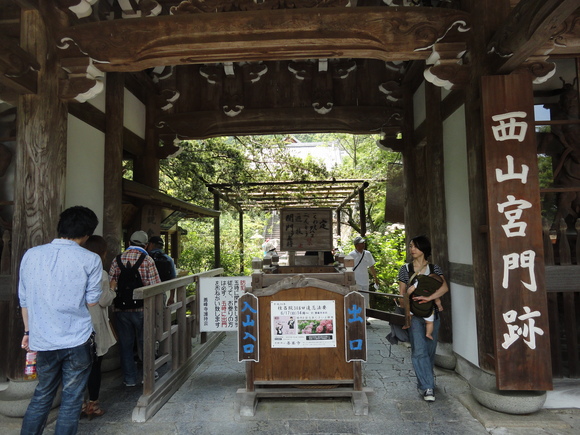 善峯寺（よしみねでら）の紫陽花・・・その①_a0258386_1053185.jpg