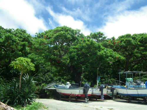 e0028387_15573264.jpg