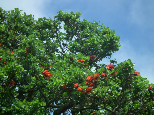 e0028387_15583611.jpg
