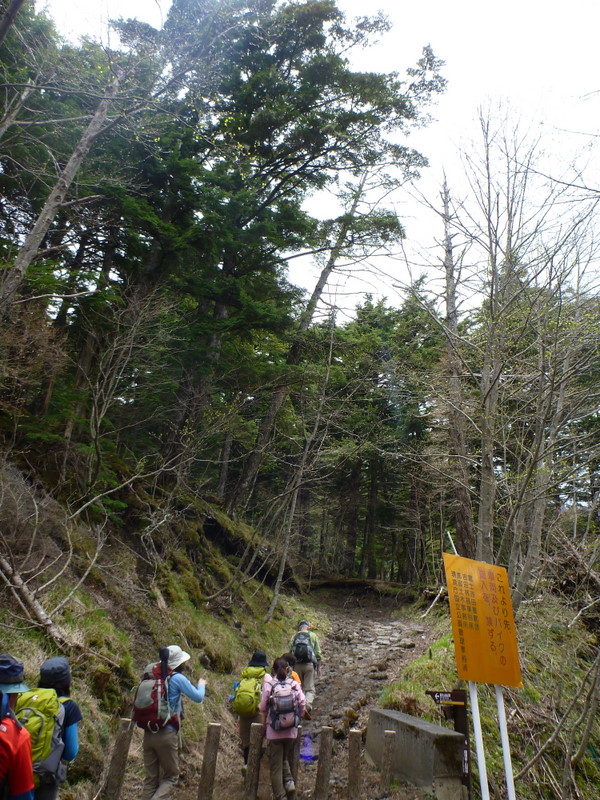 富士山1合目から5合目（富士登山トレーニングツアー）　（5）　3合目～4合目まで_e0195587_19243859.jpg