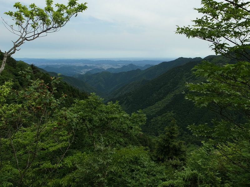 4.瓢ヶ岳　中美濃林道新登山口コース_e0271890_15563452.jpg