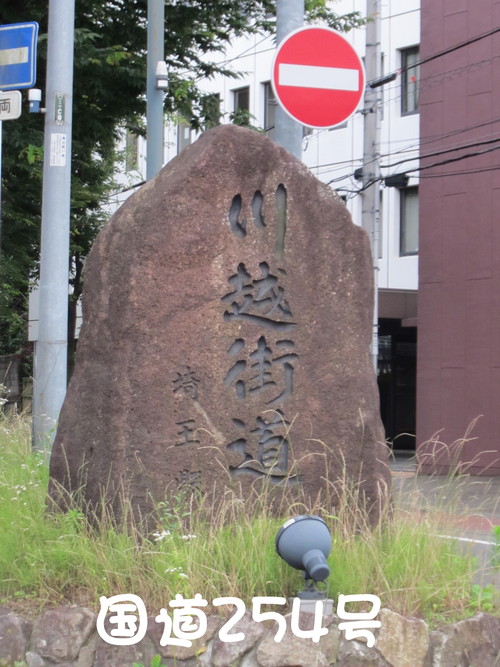 ネット通販 斑入り ヤマボウシ スノーボーイ 配達_b0200291_21552487.jpg