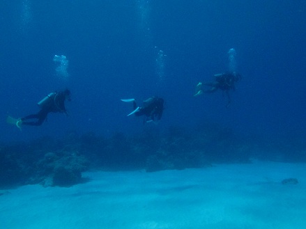 f0238795_22404089.jpg