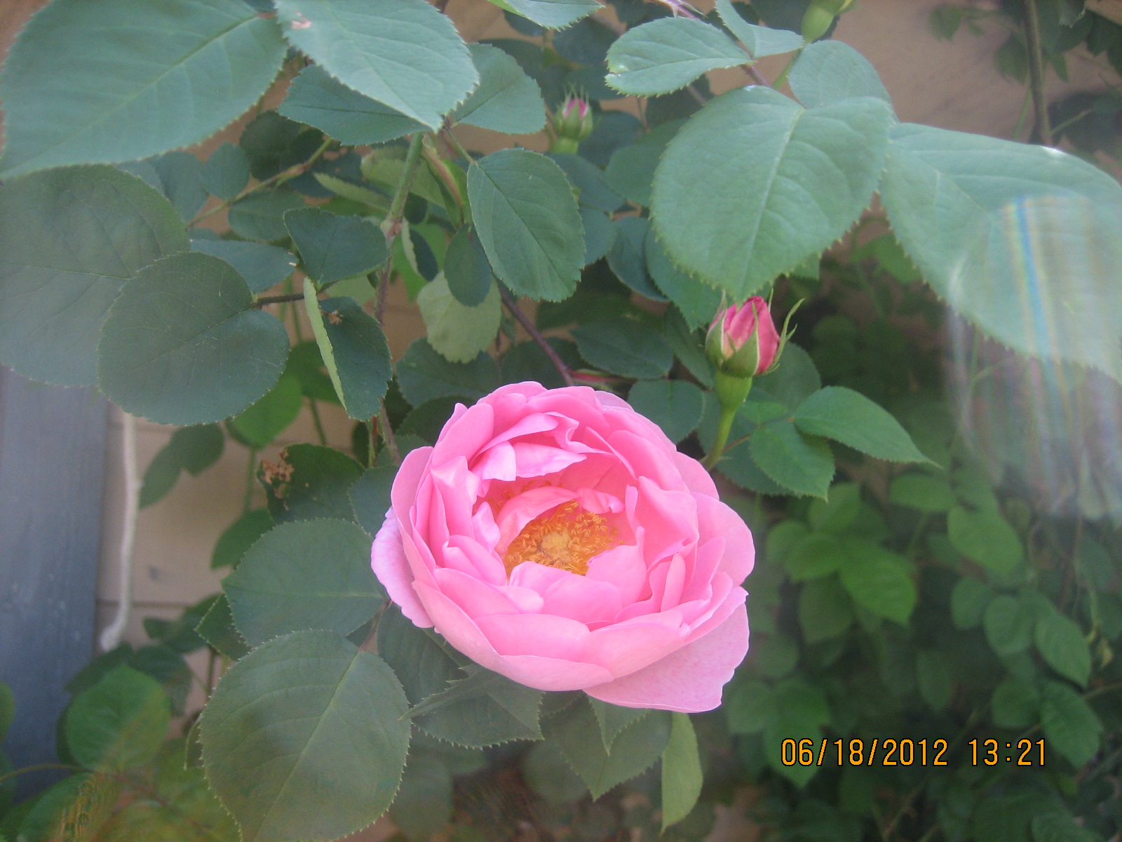 a0276402_1041428.jpg