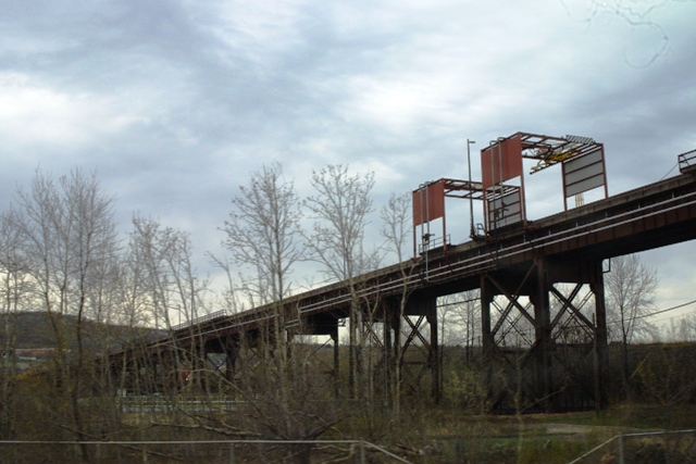 c0062603_3253782.jpg