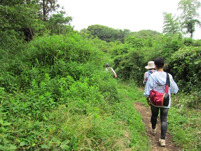 歩け歩け協会ふれあいウォーク－稲村ケ崎(2012.06.19)_e0245404_1621401.jpg