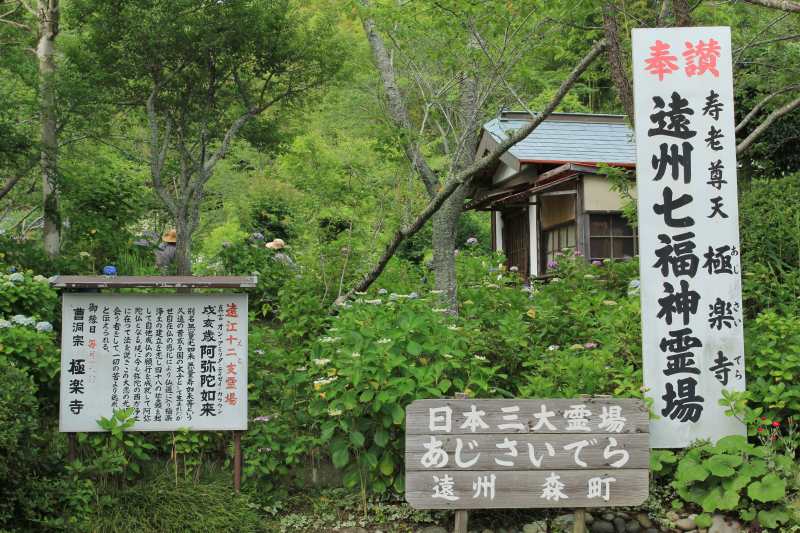 あじさい寺（極楽寺）_a0188405_843920.jpg