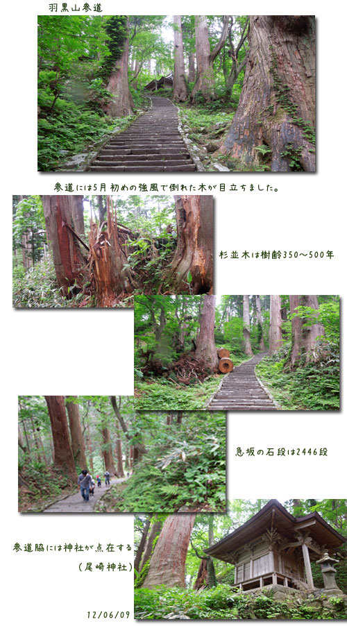 山形へ (3)_c0051105_18423684.jpg