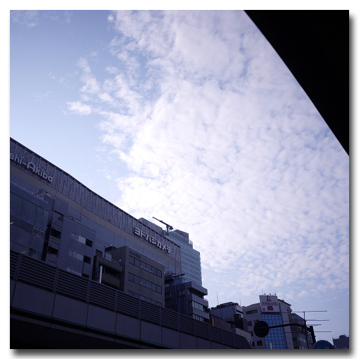 e0175405_659474.jpg