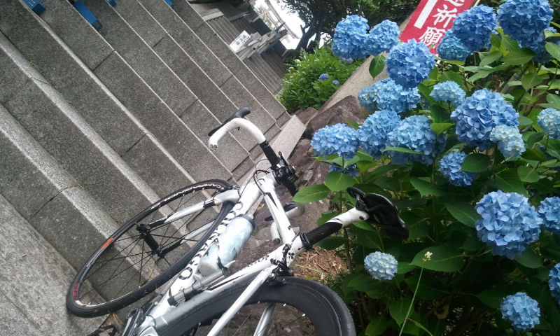 梅雨らしさ_b0246207_2271235.jpg