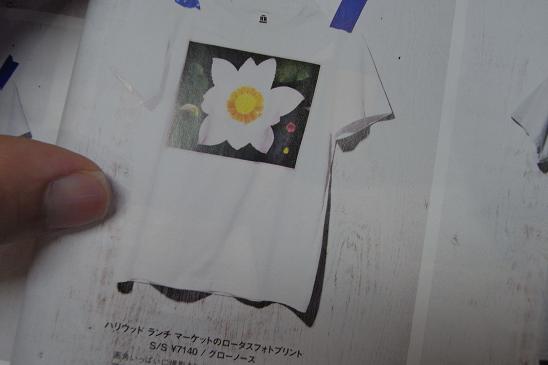 e0111107_1736723.jpg