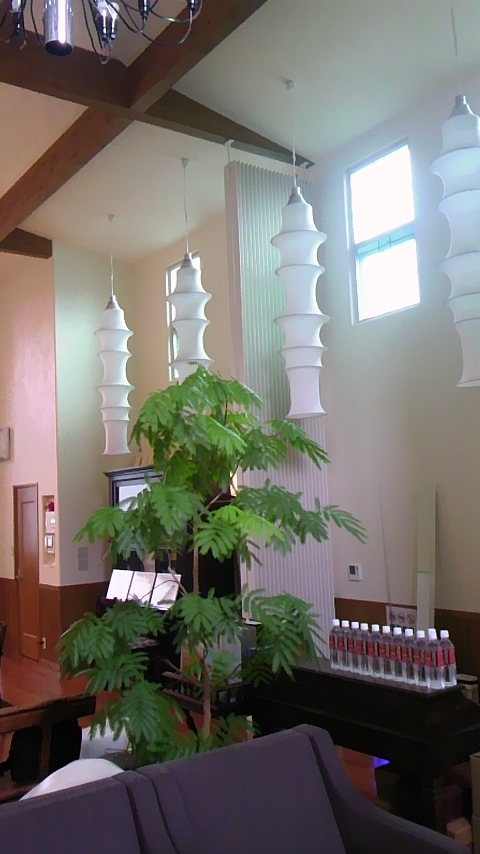 a0098510_19261612.jpg