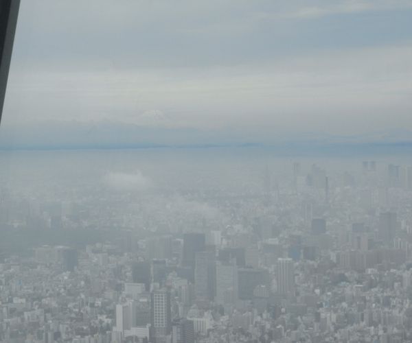 f0006510_23322785.jpg