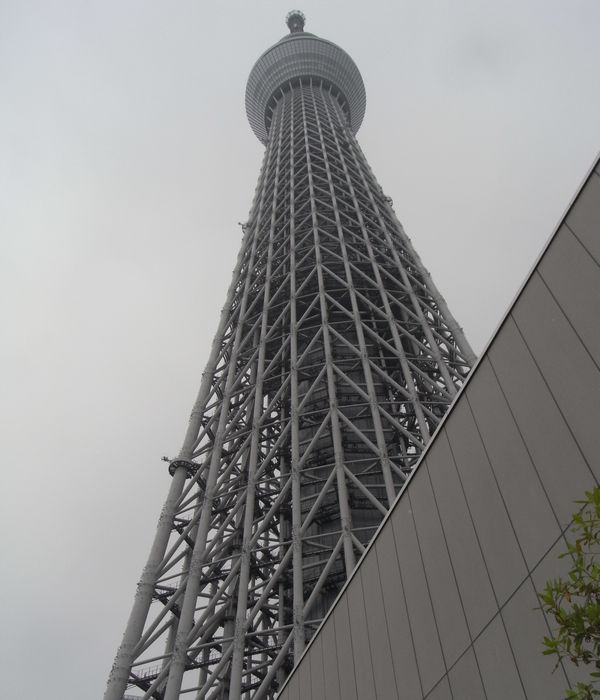 f0006510_2362875.jpg