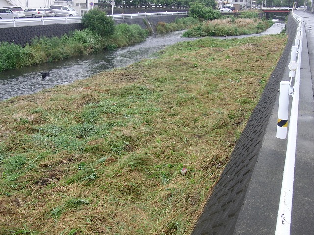 雨に濡れて重くなった草は「腰」に響く　今年最初の小潤井川の草刈り_f0141310_7373961.jpg
