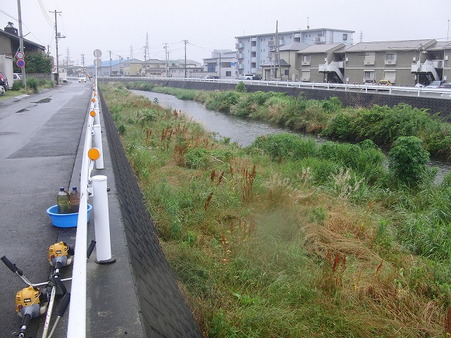 雨に濡れて重くなった草は「腰」に響く 今年最初の小潤井川の草刈り_f0141310_7375899.jpg