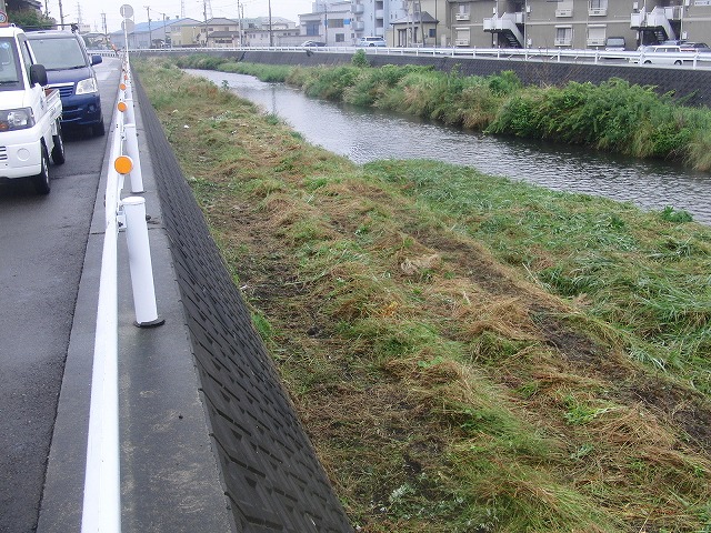 雨に濡れて重くなった草は「腰」に響く 今年最初の小潤井川の草刈り_f0141310_7384100.jpg