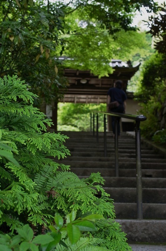 忍辱山円城寺_e0145711_23541663.jpg