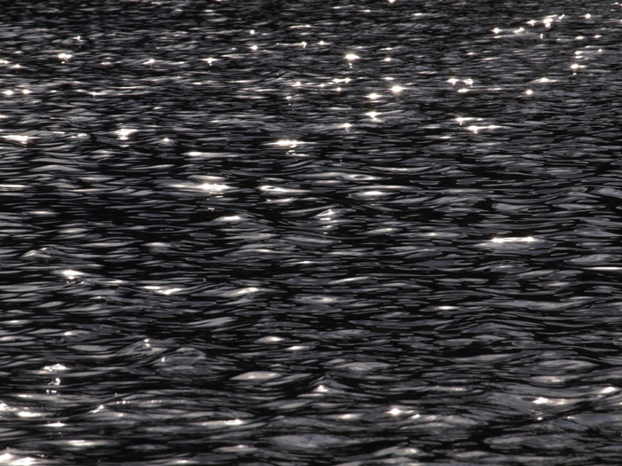 c0110112_23484880.jpg