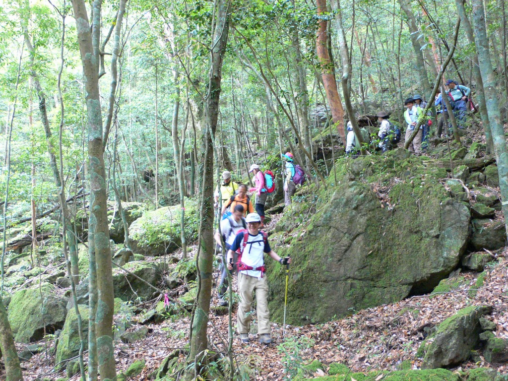 大杉谷登山歩道整備プロジェクトⅡ　報告１_e0256112_1429407.jpg