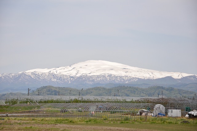 月山・出羽三山_c0248013_20462460.jpg