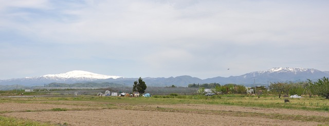 c0248013_20502578.jpg