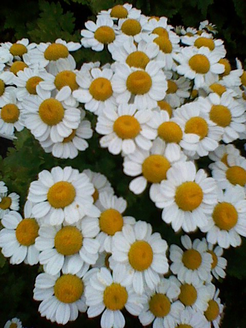 b0087914_13283732.jpg
