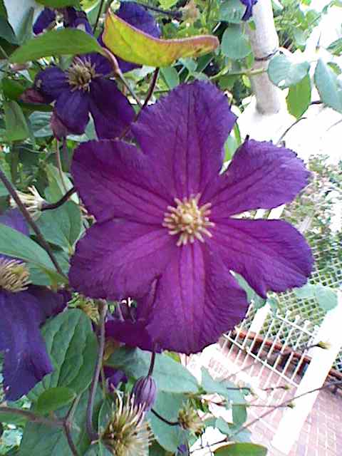 b0087914_13315844.jpg