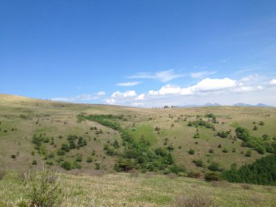 d0258215_2346384.jpg