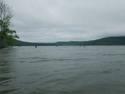 a0086316_10244160.jpg