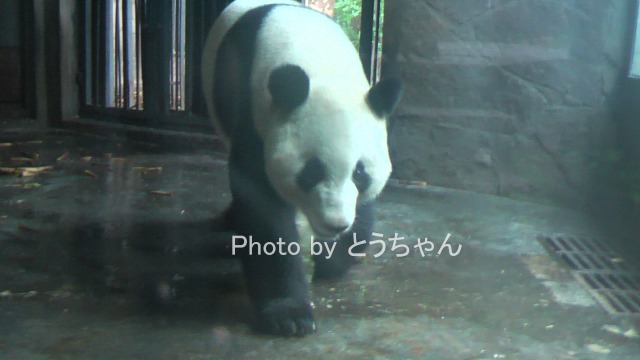 幸浜やっぱりファン思い(2012.04.29～05.01)_f0079716_20403393.jpg