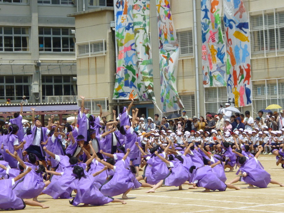 白組、圧勝!_b0215321_0393118.jpg