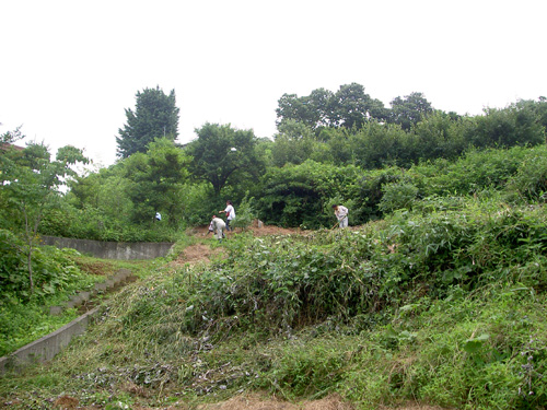 c0194522_1657857.jpg