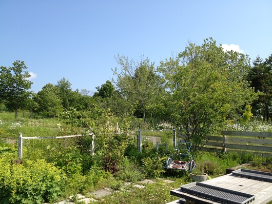 c0227522_2126577.jpg