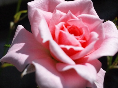 b0199924_1337016.jpg