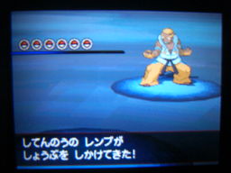 ポケットモンスターブラック縛りプレイ（四天王戦３回目）_a0120525_3342586.jpg