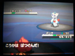 ポケットモンスターブラック縛りプレイ（四天王戦３回目）_a0120525_355064.jpg