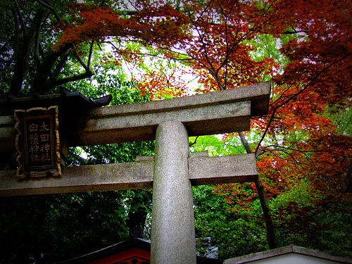 「京都 八坂神社、ワインバー ワイングロッサリー」_a0000029_10141626.jpg