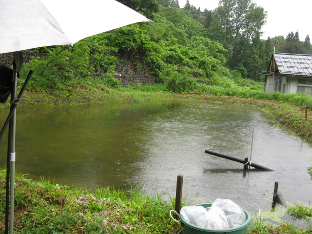 f0214235_23565965.jpg